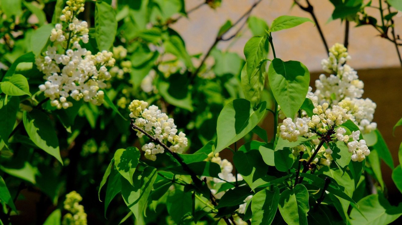 Melegebb, de csapadékos időjárásra lehet számítani a következő két hétben