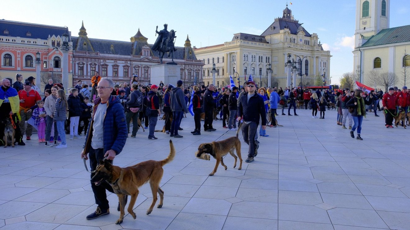 Elkezdődött a kutyavilágbajnokság