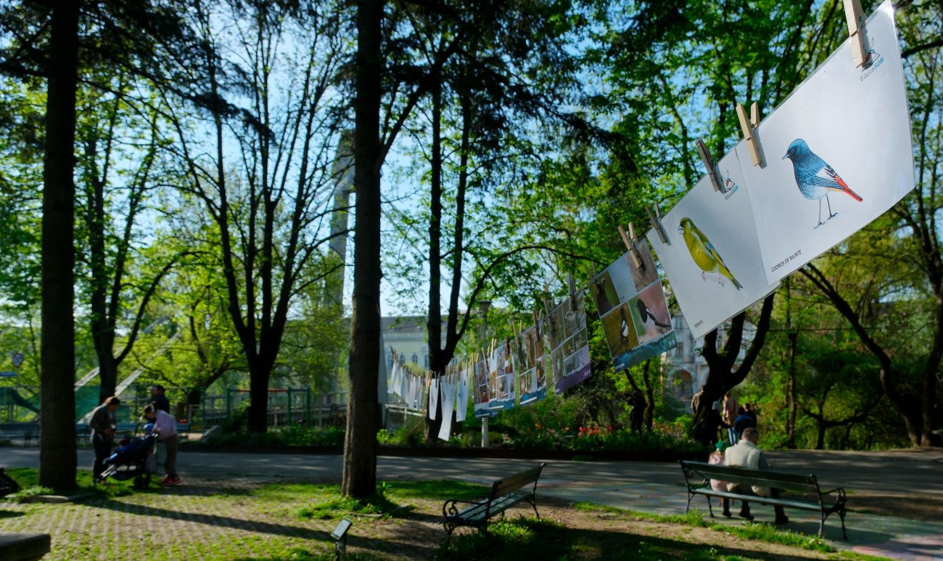 Madárlesen az Ezredévi emléktéren