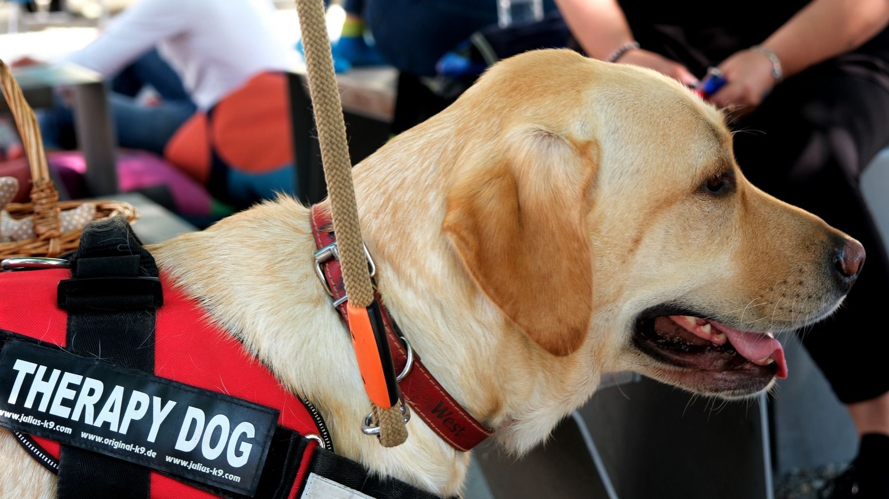 West is ellátogatott a Majálisra