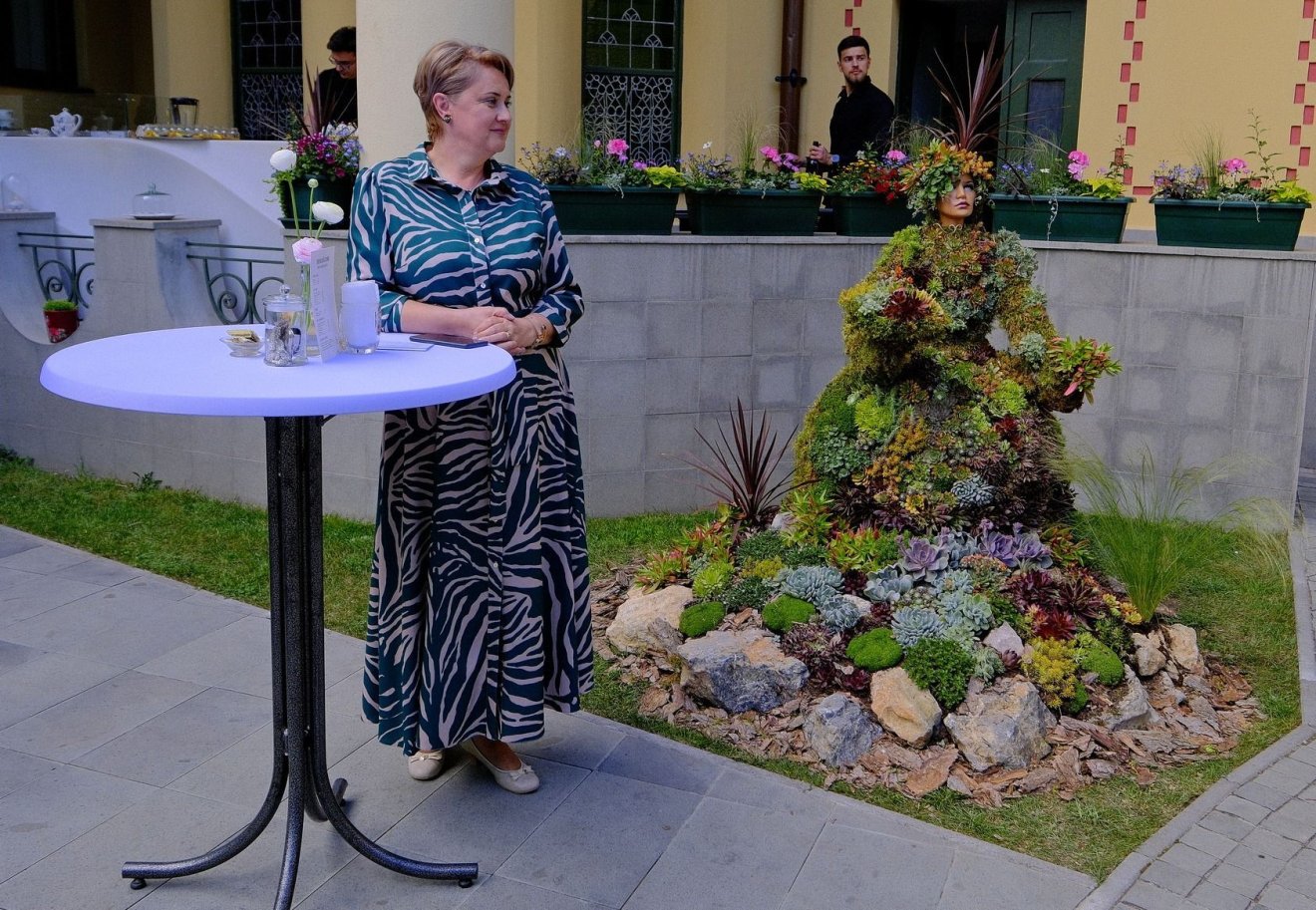 Metamorfózis a Darvas-háznál