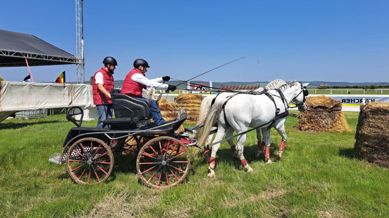 Fogathajtás: Köbölkúton az első díj