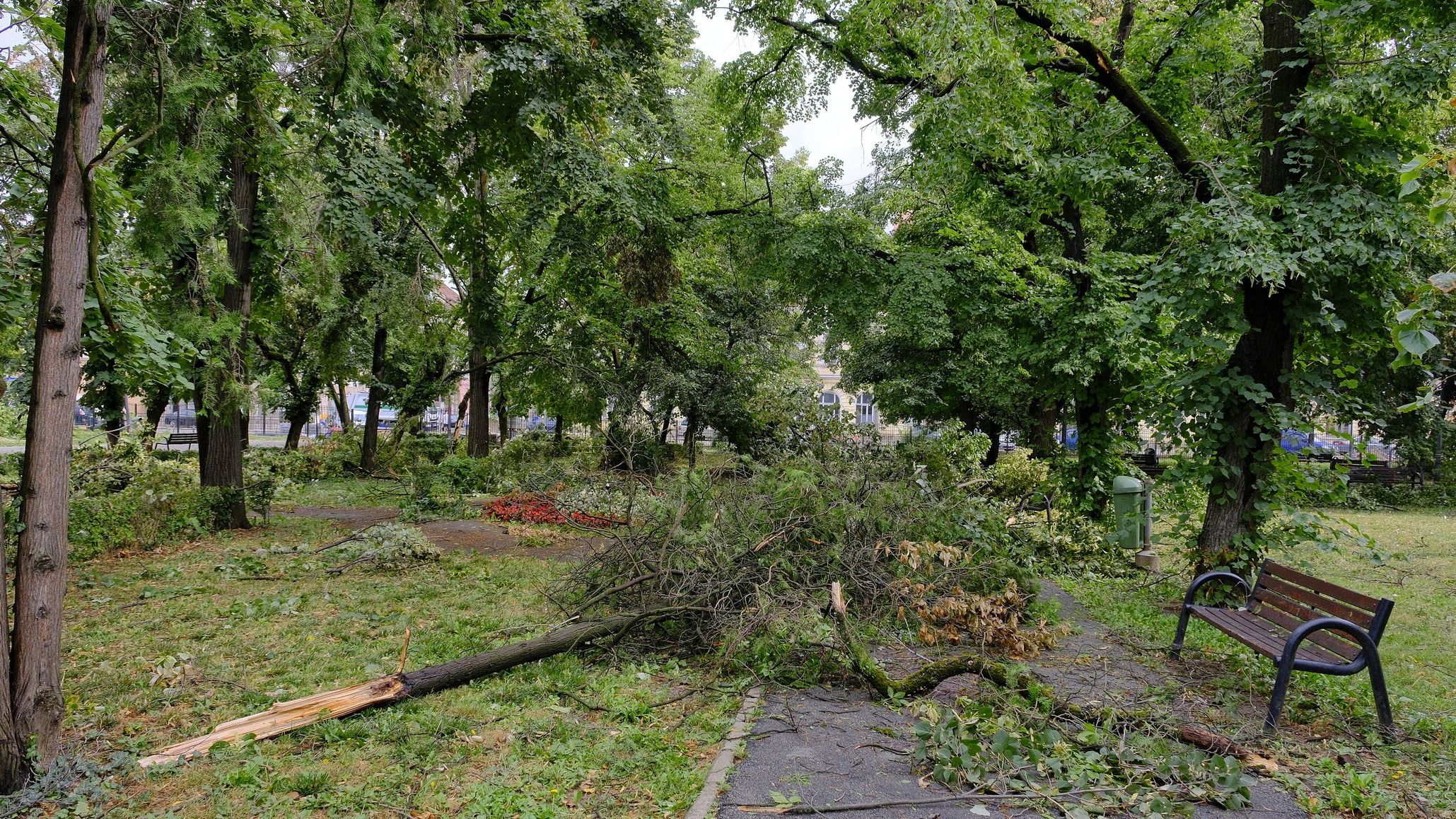 Sokan megsérültek a keddi viharban