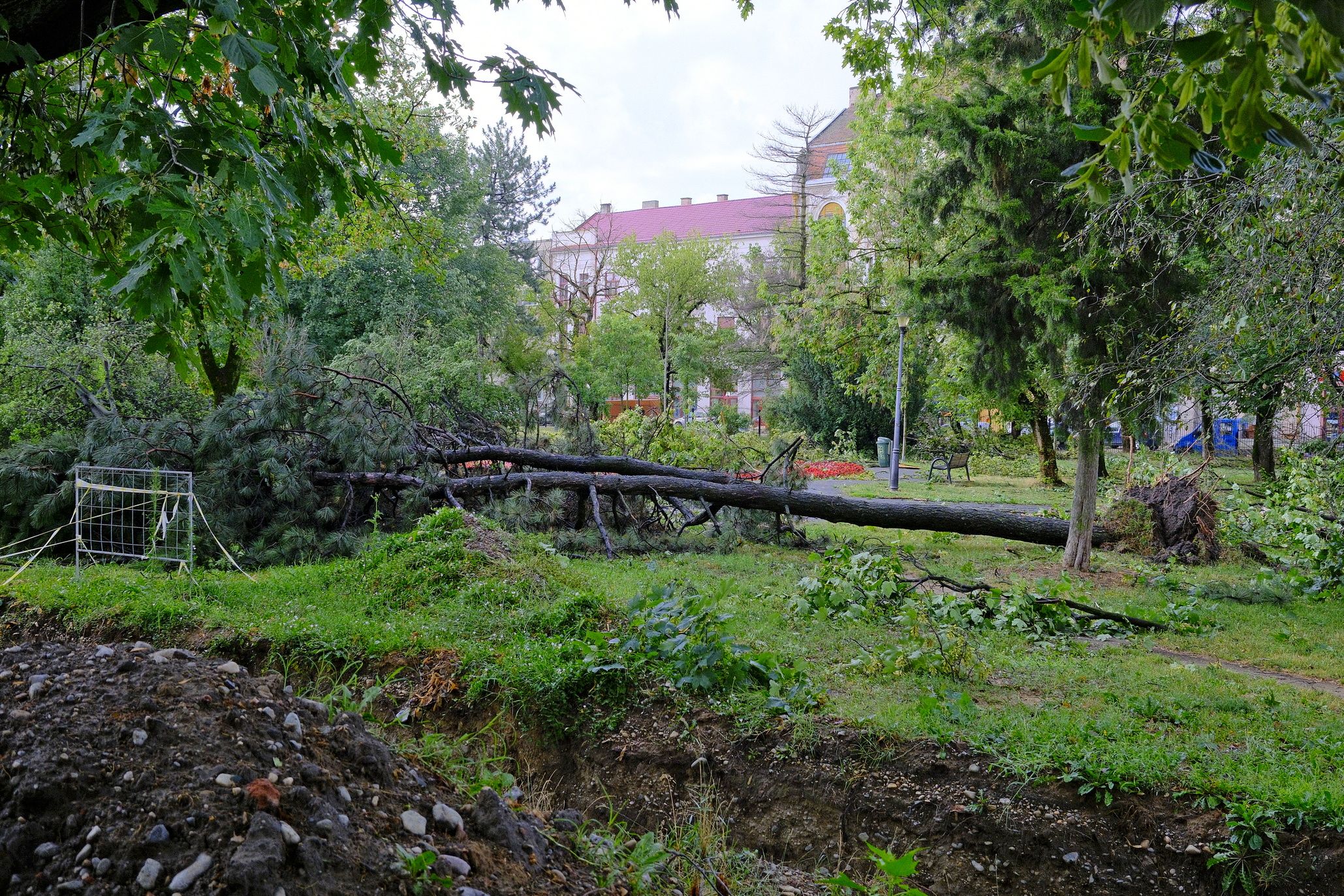 Folyamatban van a vihar okozta károk összesítése Nagyváradon