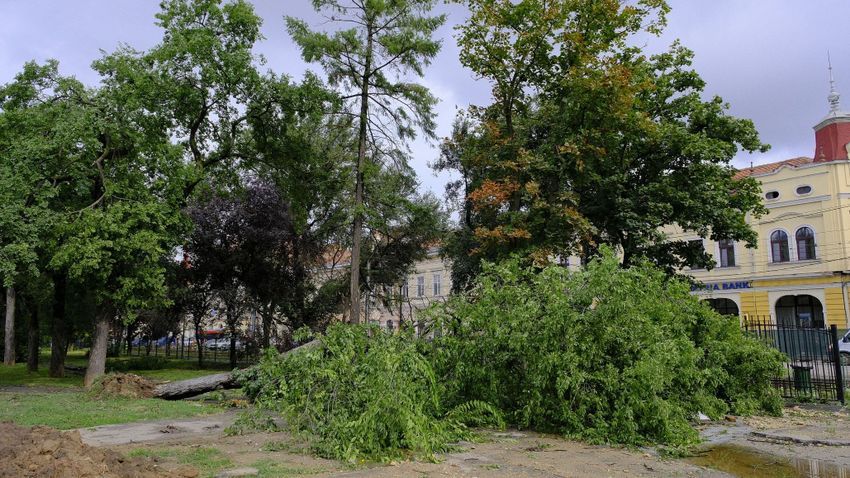 Több mint hárommillió lejes kárt okozott a vihar