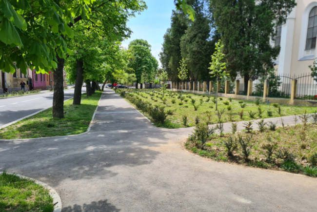 Zöldítenék a várost a helyi lakosok