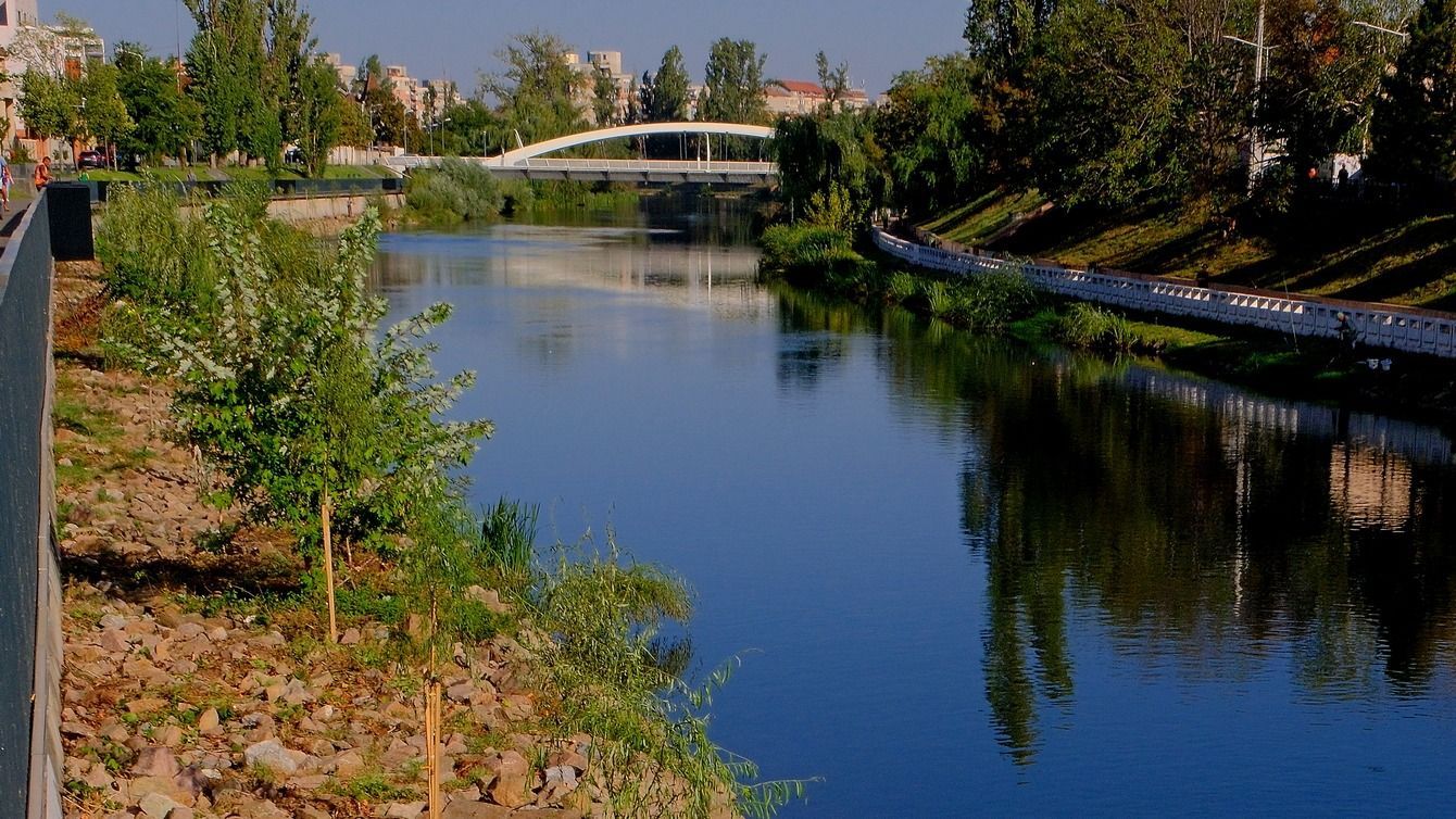 Fásítják a Sebes-Körös partjait