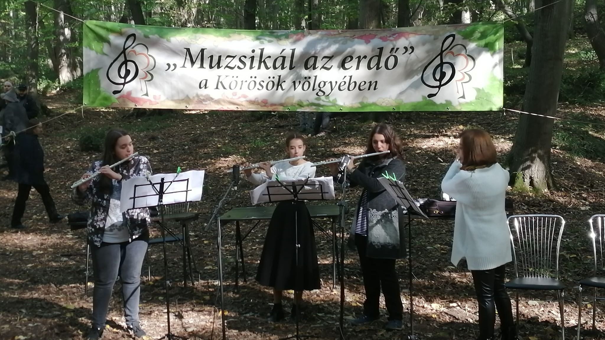 Idén új helyszínen fog muzsikálni az erdő