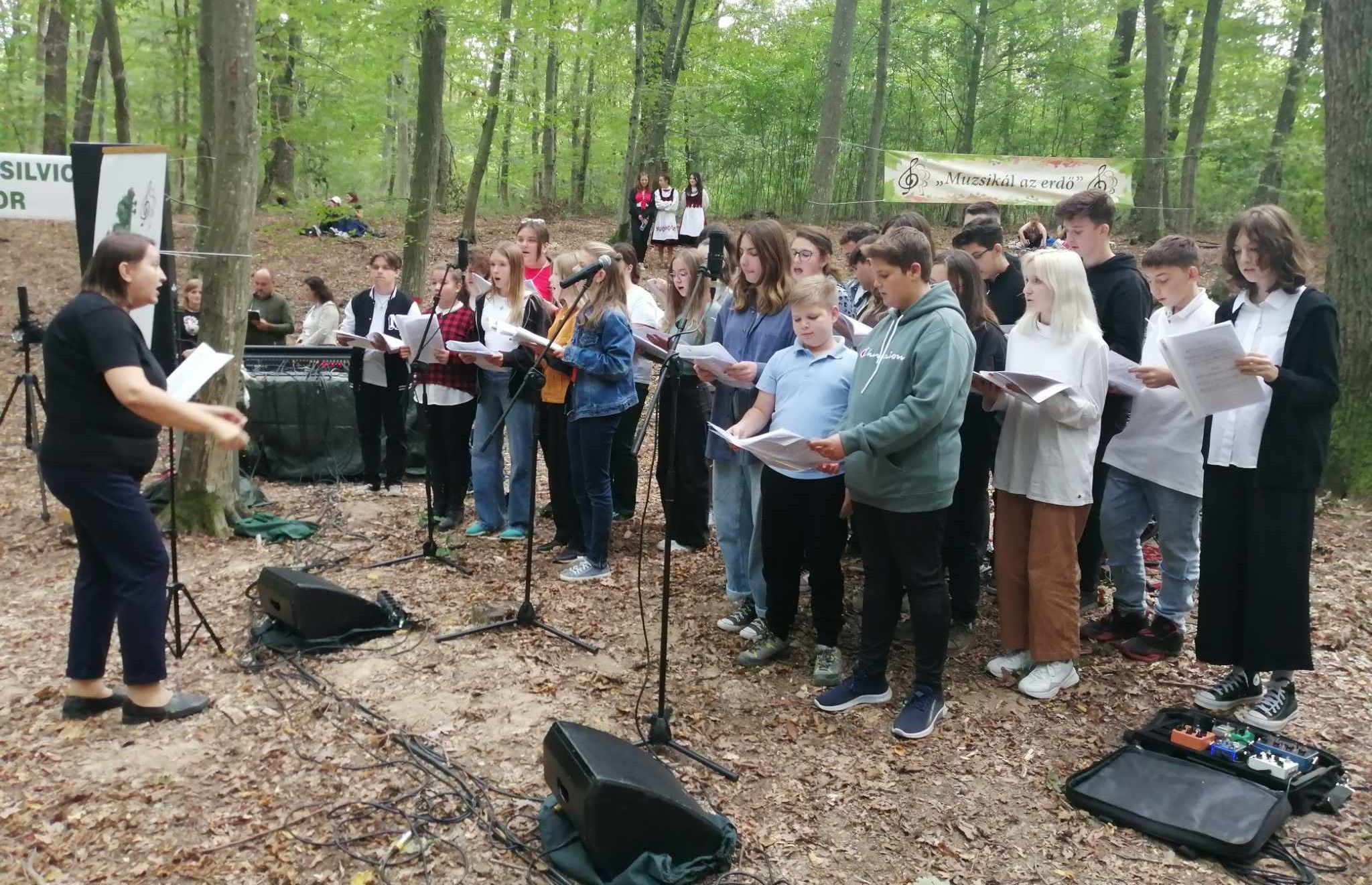 Muzsikált az erdő