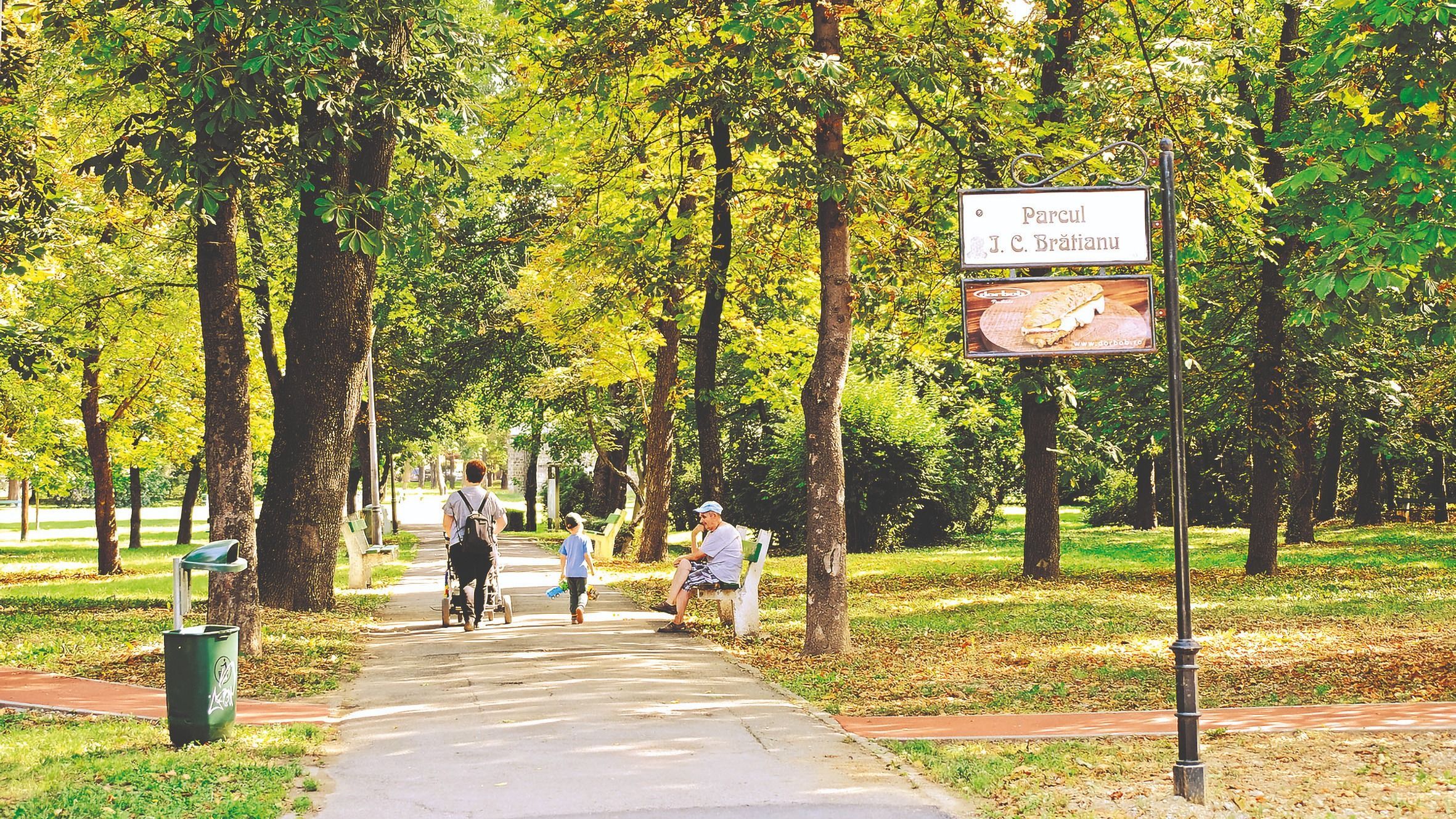 Petíciót nyújtottak be a nagyváradi Bunyitay-liget átalakítása ellen