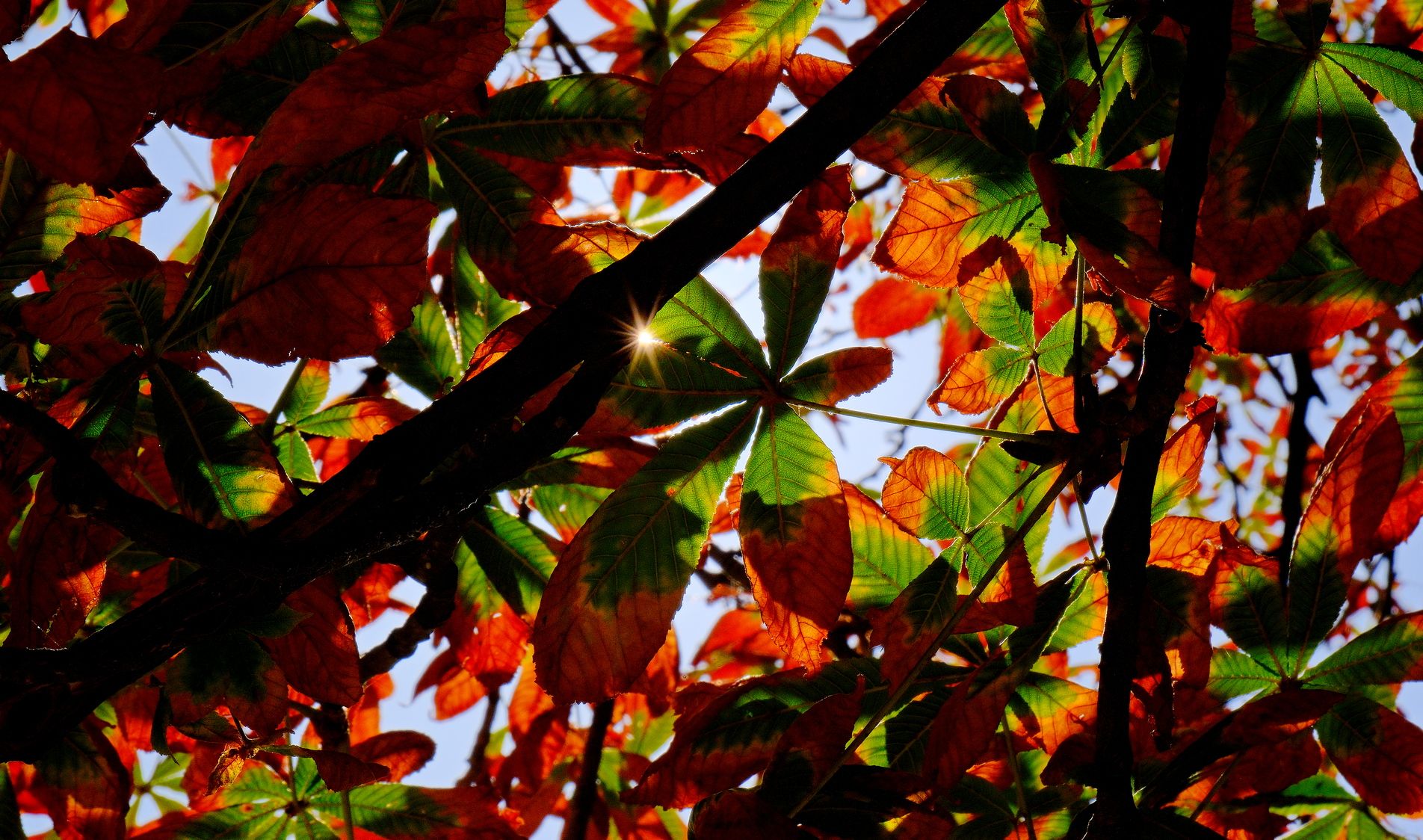 Kitart a meleg idő a következő két hétben, eső inkább 11-e után valószínű