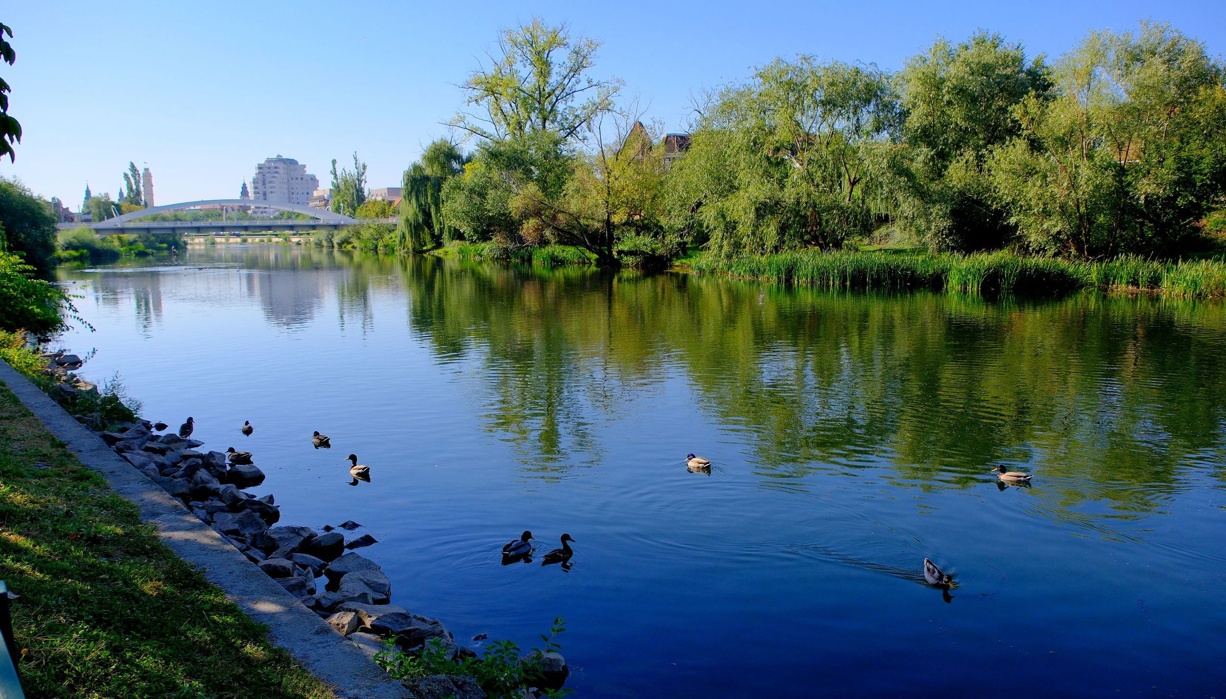 Mesterterv szerint fogják óvni a zöldövezeteket Nagyváradon
