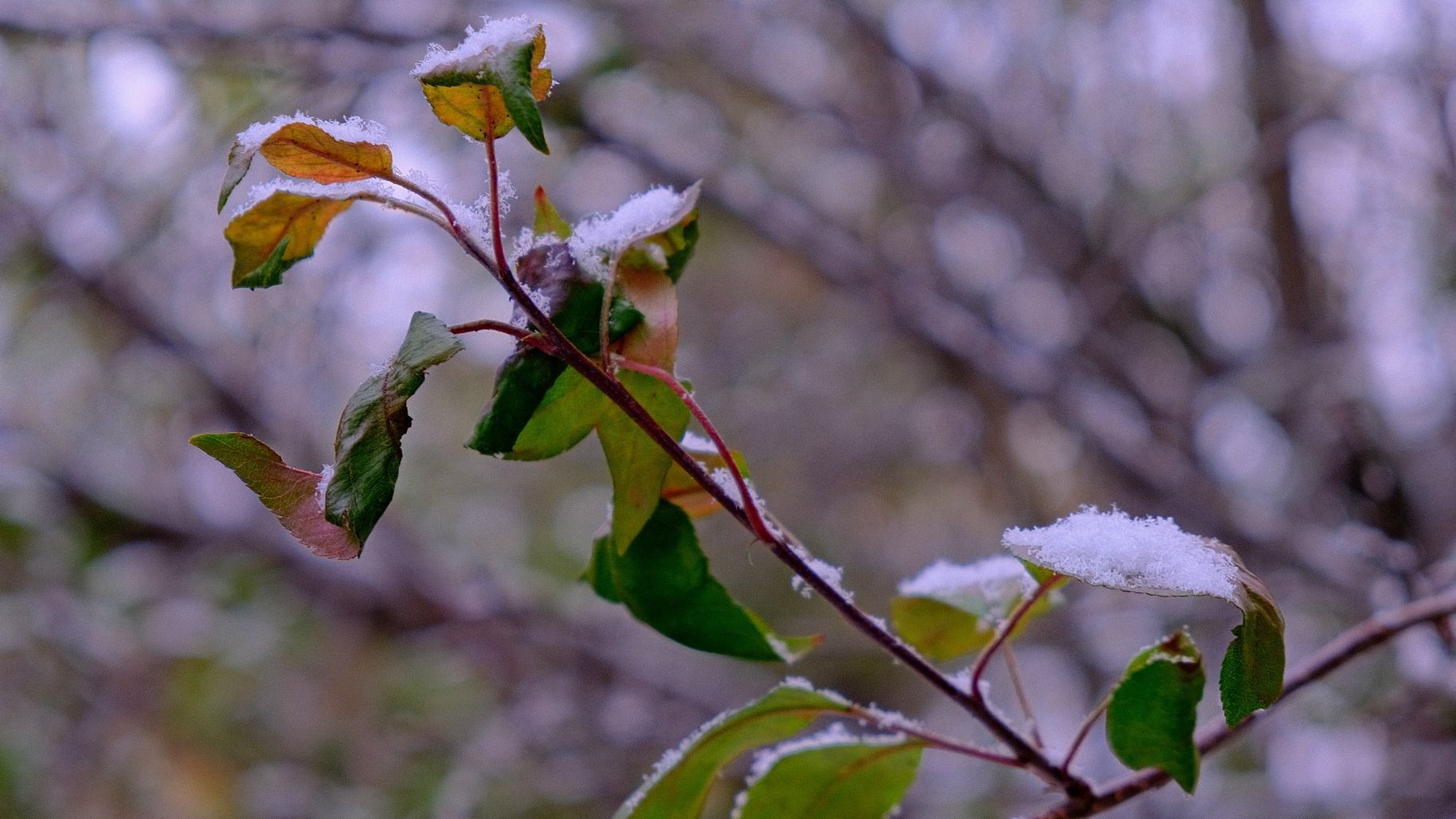 Hideg és enyhébb napok váltják egymást ezen a héten; jövő héten ismét lehűl az idő
