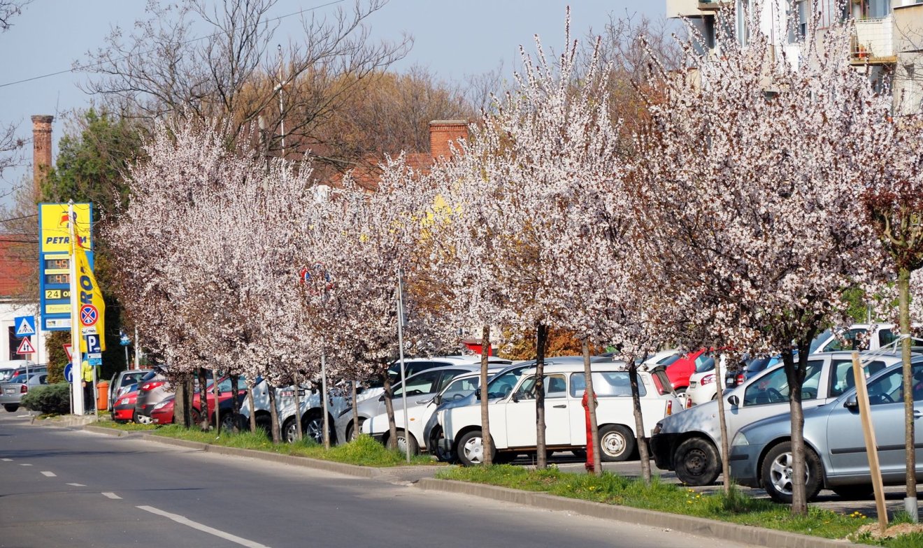 Adóhátralékosoknak nem jár parkolóhely
