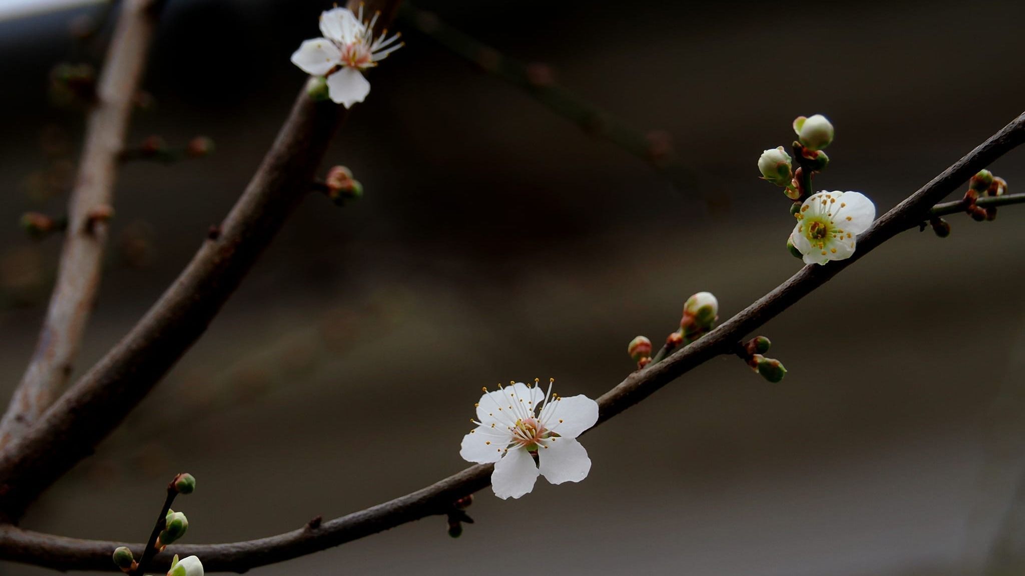 Tavaszi hőmérsékletekkel ér véget február és köszönt be március