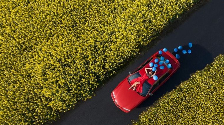 Ovi D. Pop a ,,Hírességek csarnokában”