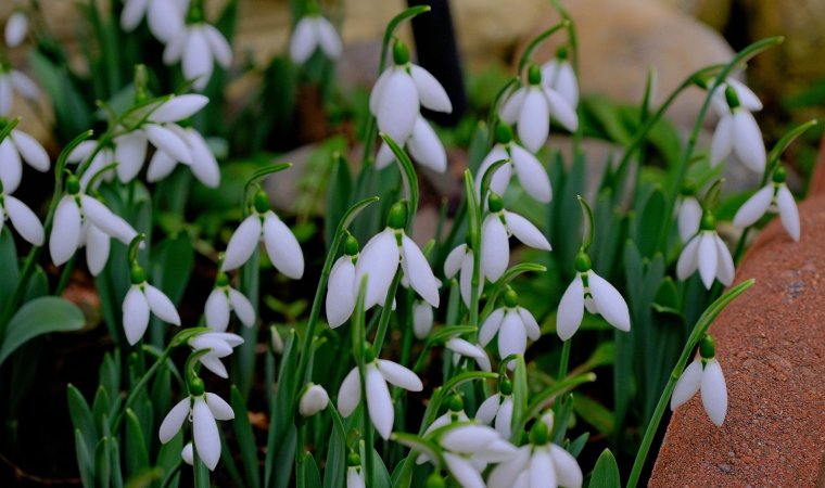 Ezen a héten enyhe lesz az idő, jövő héten lehűlés és csapadék várható