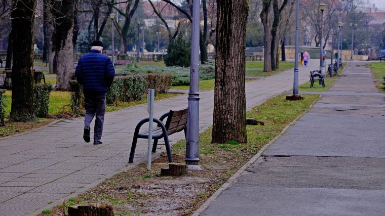A parkok éve lesz az idei Váradon