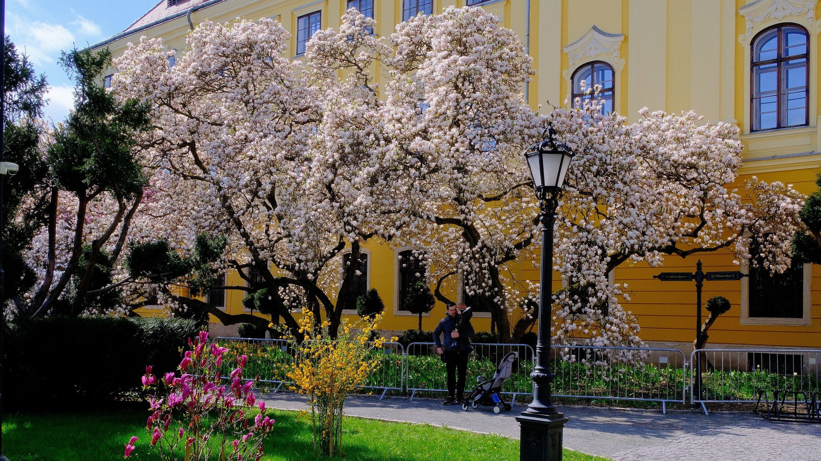 Ingadozó hőmérséklet várható március második felére