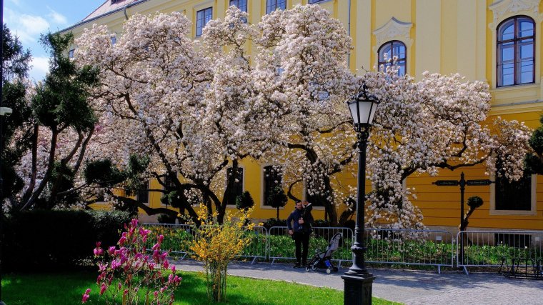 Ingadozó hőmérséklet várható március második felére