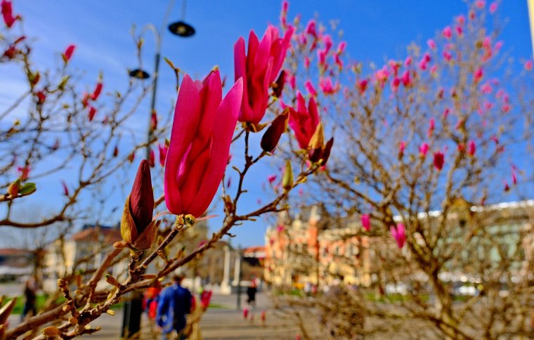 Változékony, de meleg időre számíthatunk a következő két hétben