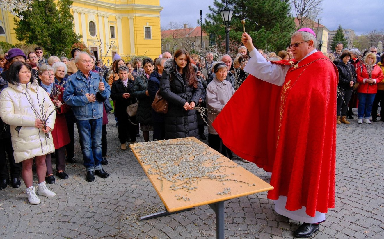 Virágvasárnapot ünnepeltek a váradi székesegyházban is