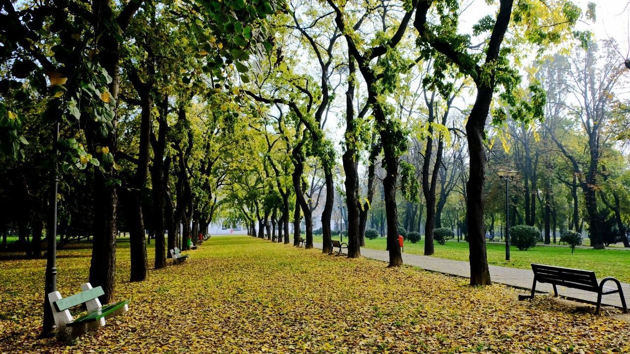 Európai uniós támogatás a Nagyvásártér felújítására