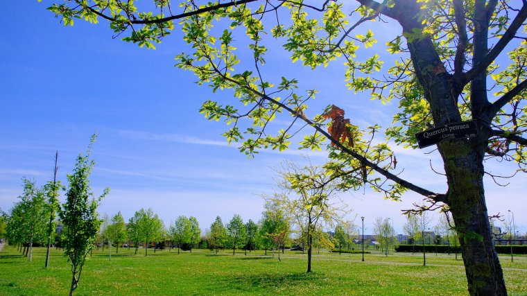 Országszerte meleg lesz a következő két hétben, kisebb esőzések csak elszórtan várhatók
