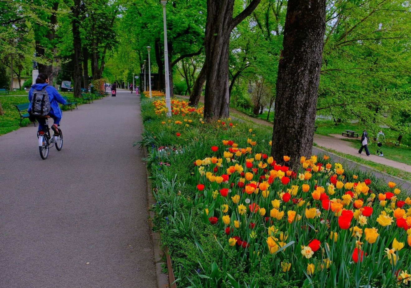 Három zöldövezet felújítására várják a kivitelezőket Váradon