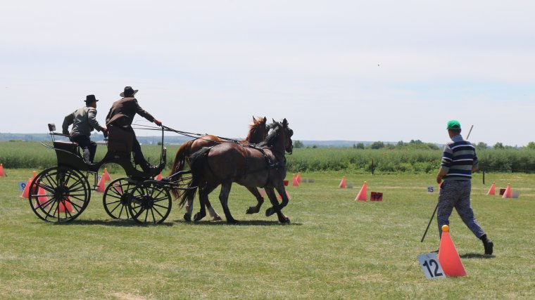 Lovasfogatok viadala Érkeserűben