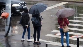 Erdélyben, Máramarosban és a Bánságban kedden zivatarok várhatók