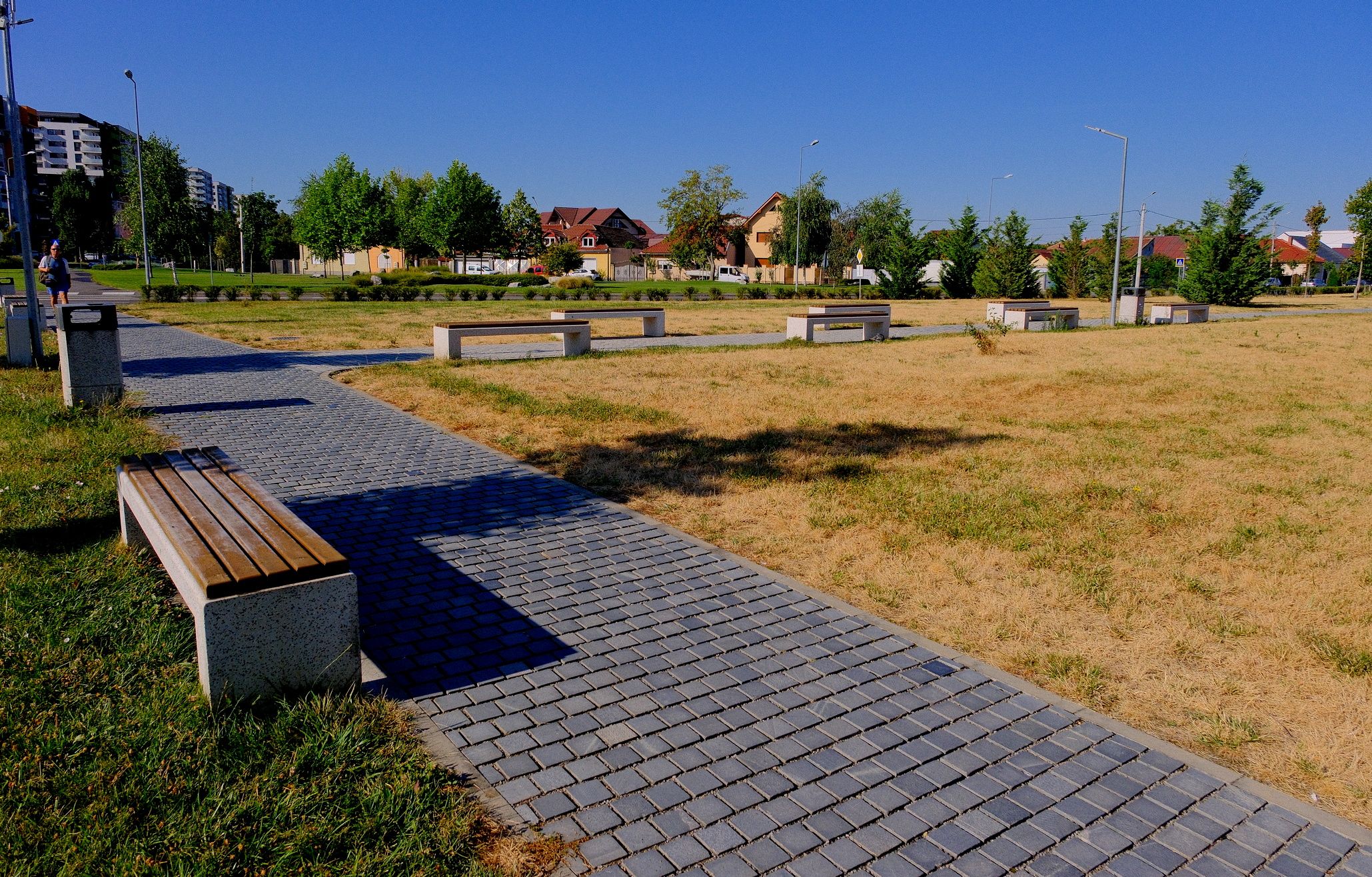 Kiszáradt a Barcăului utcai zöldövezet egy része