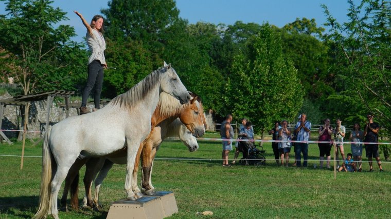 Lovasbemutató a váradi várban