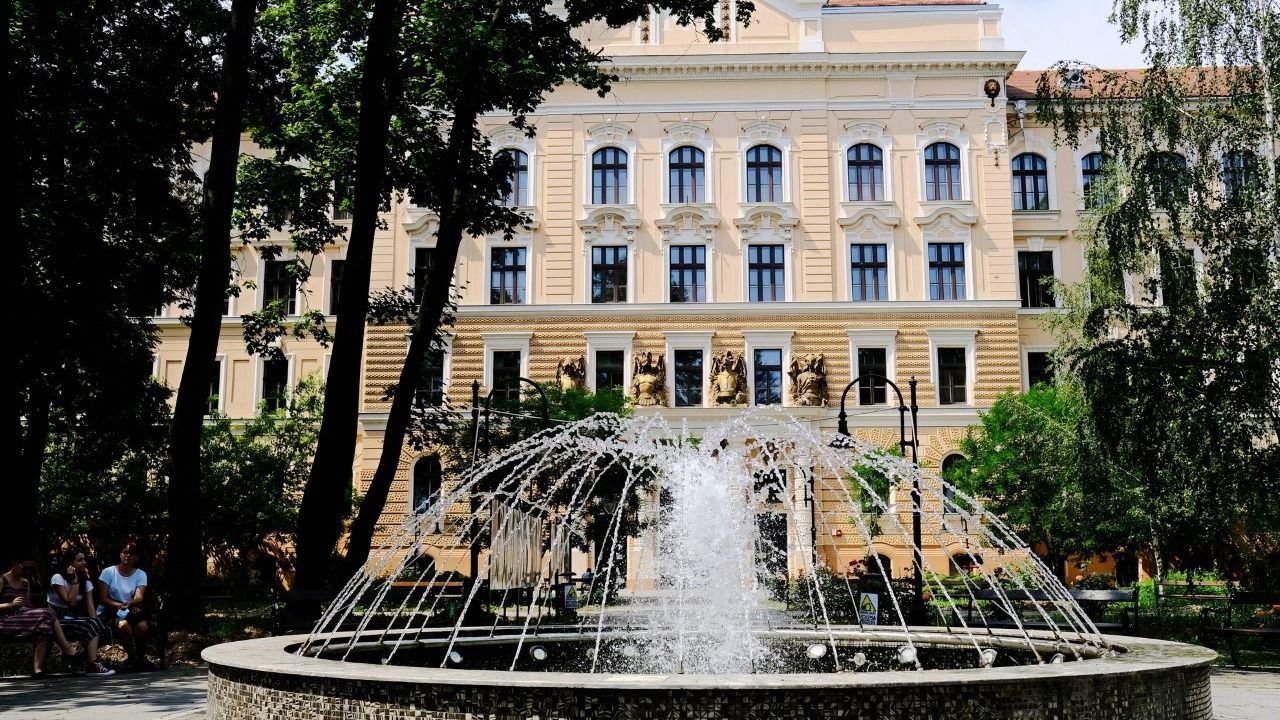 Bibliovibes a múzeumkertben