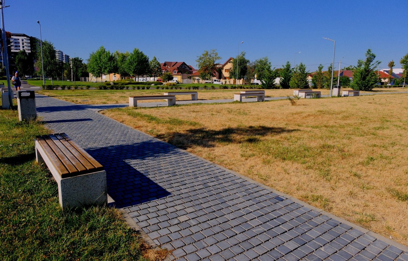Kiszáradt a Barcăului utcai zöldövezet egy része