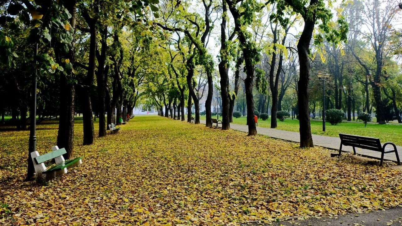 Megjöttek az ajánlatok a parkfelújításokra