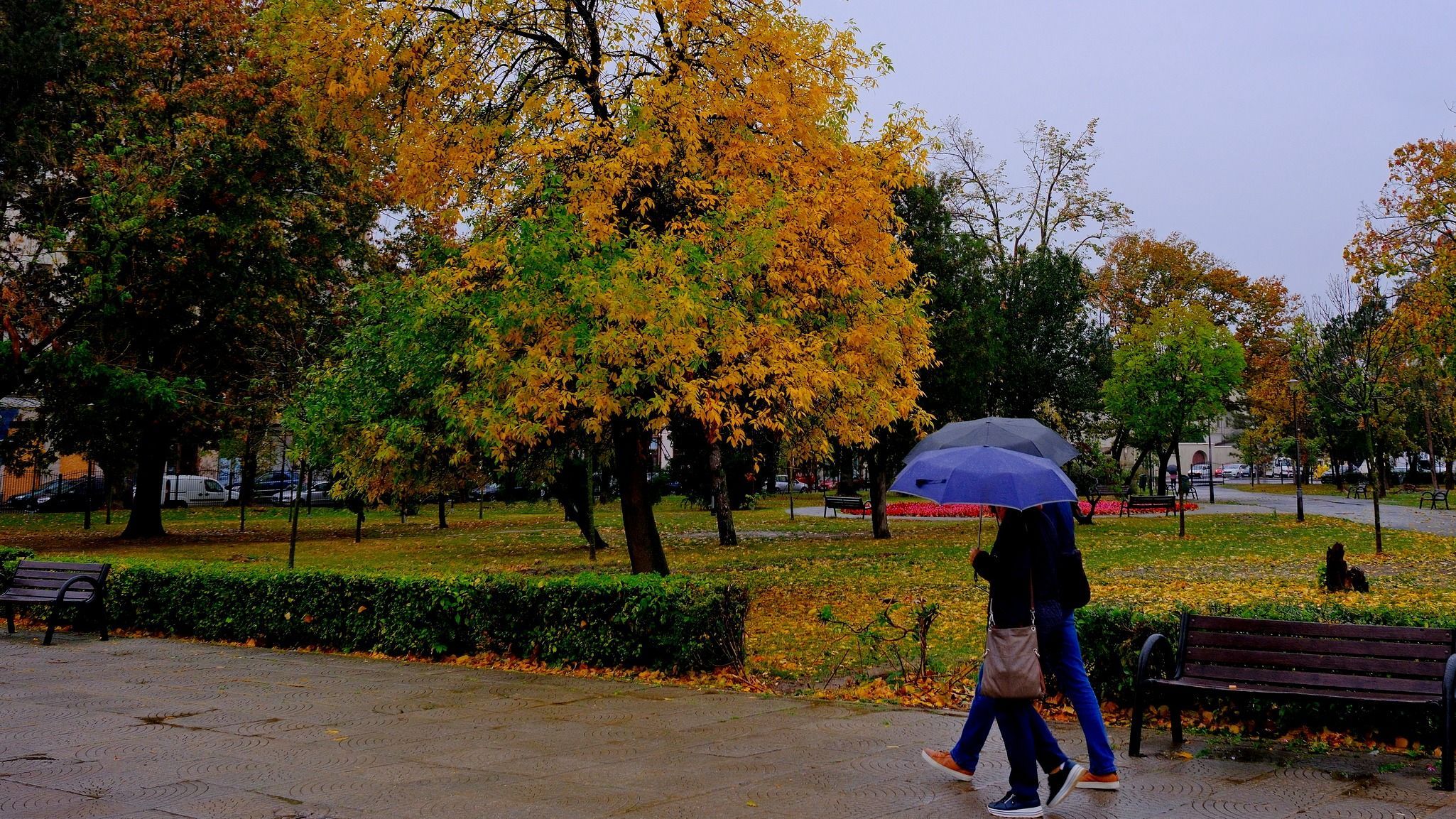 Felhőszakadások várhatók szombat délutánig kilenc megyében