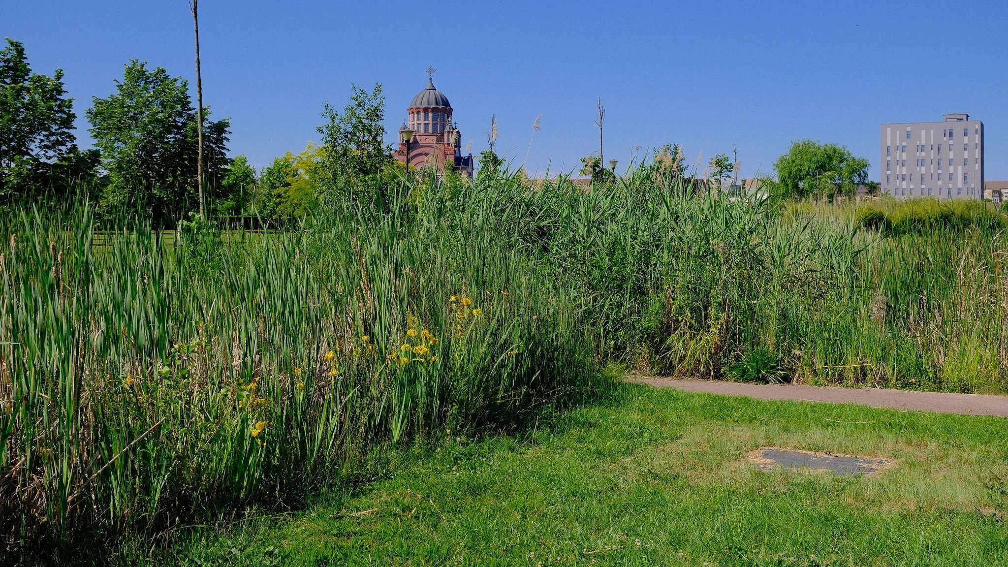 Városi rét a lepusztult telkek helyén