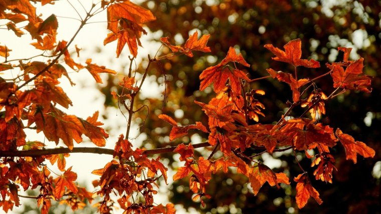 Vasárnap és hétfőn kánikula lesz Erdély egy részében