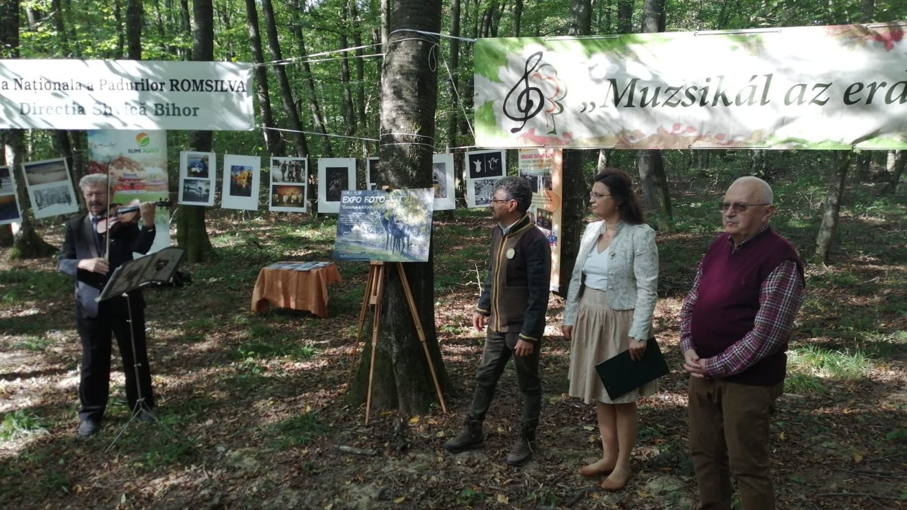 Idén is lesz Muzsikál az erdő rendezvénysorozat