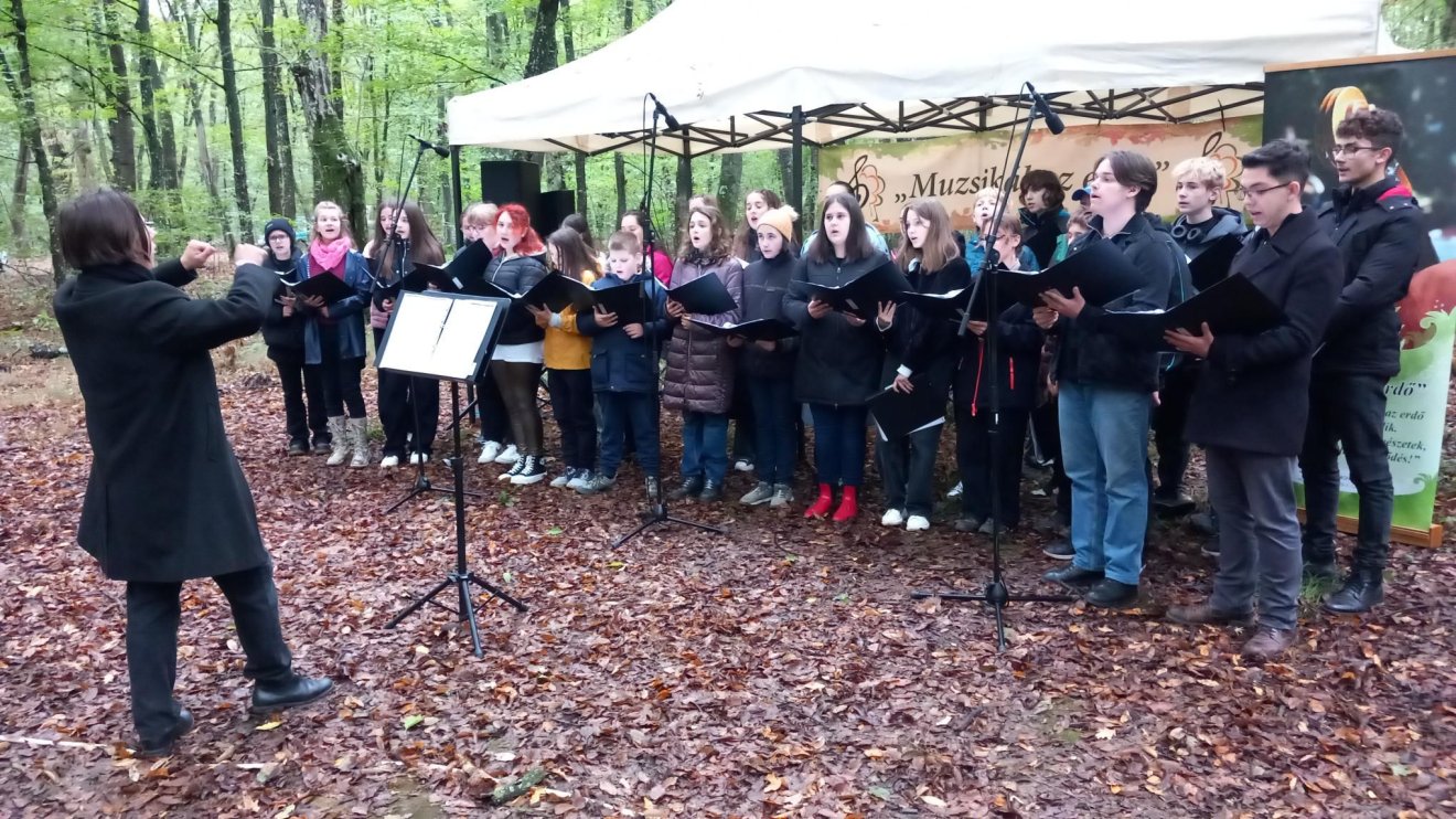 Az esőben is „muzsikált” az erdő