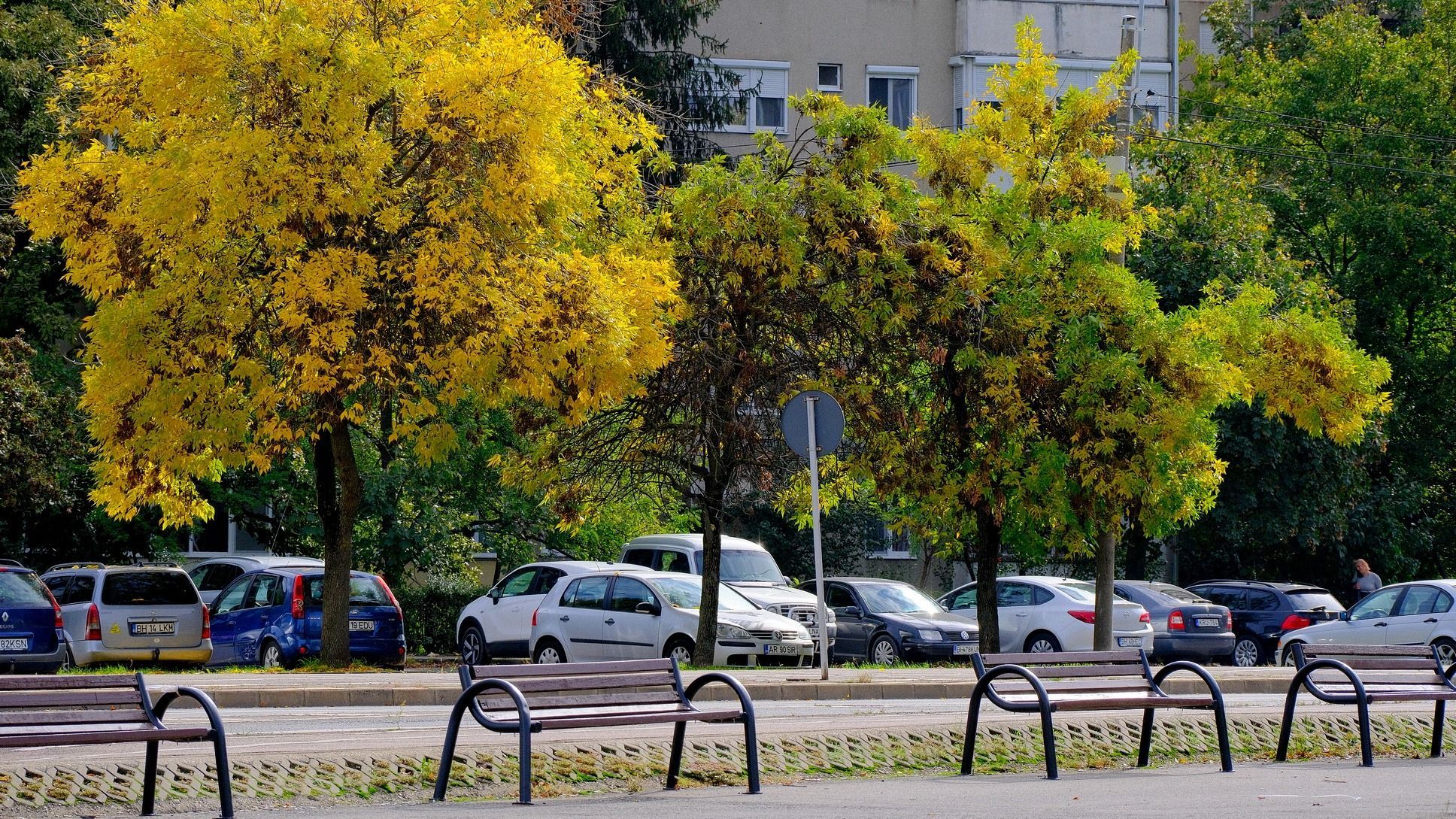 Megoldást keresnek a parkolóhelykrízisre Nagyváradon