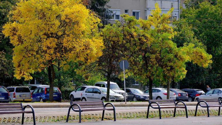 Megoldást keresnek a parkolóhelykrízisre Nagyváradon