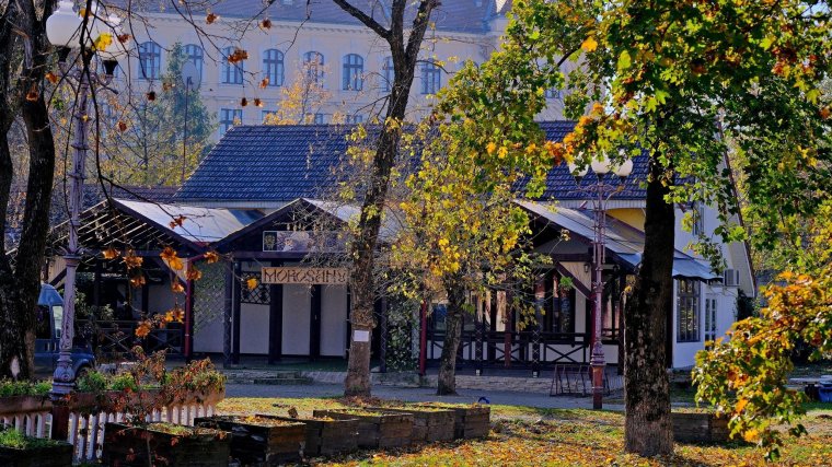 Egy haszonbérlet viszontagságai