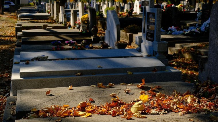 Antal Ilona zongoraművész sírhelyének megmentésére indítottak gyűjtést