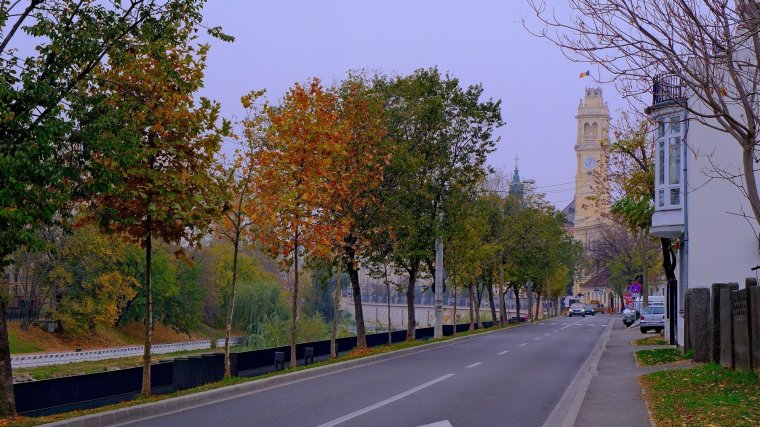 Nemsokára indul a faültetési kampány