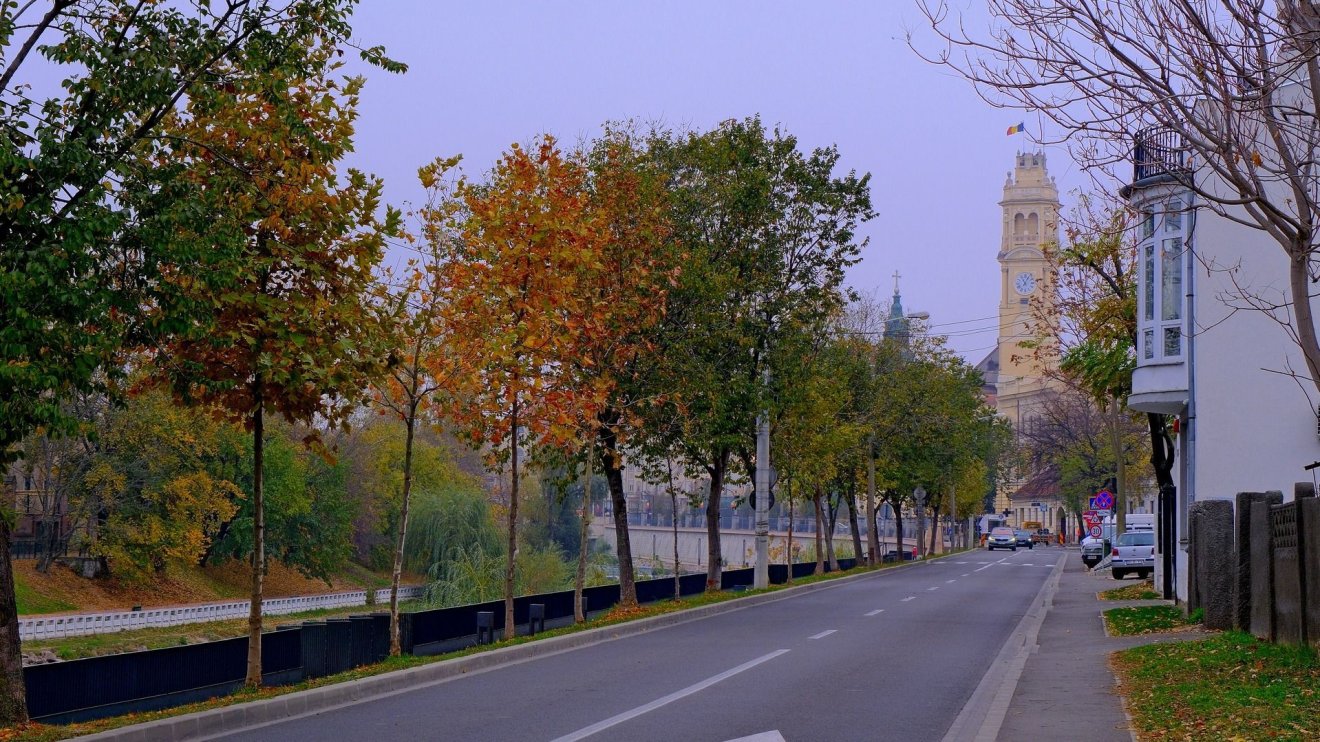 Nemsokára indul a faültetési kampány