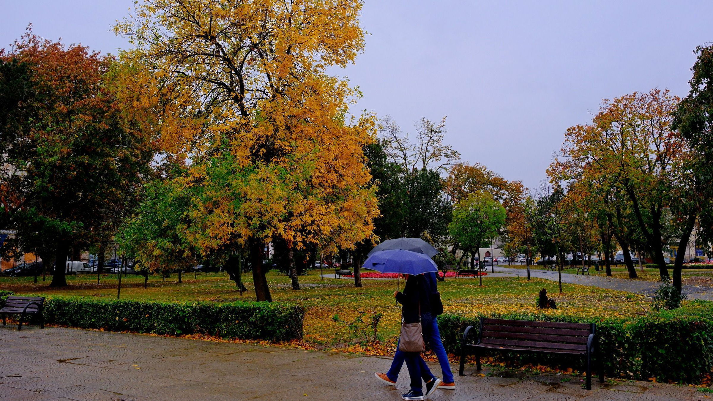 Csapadékra, jegesedésre és megélénkülő szélre figyelmeztetnek a meteorológusok