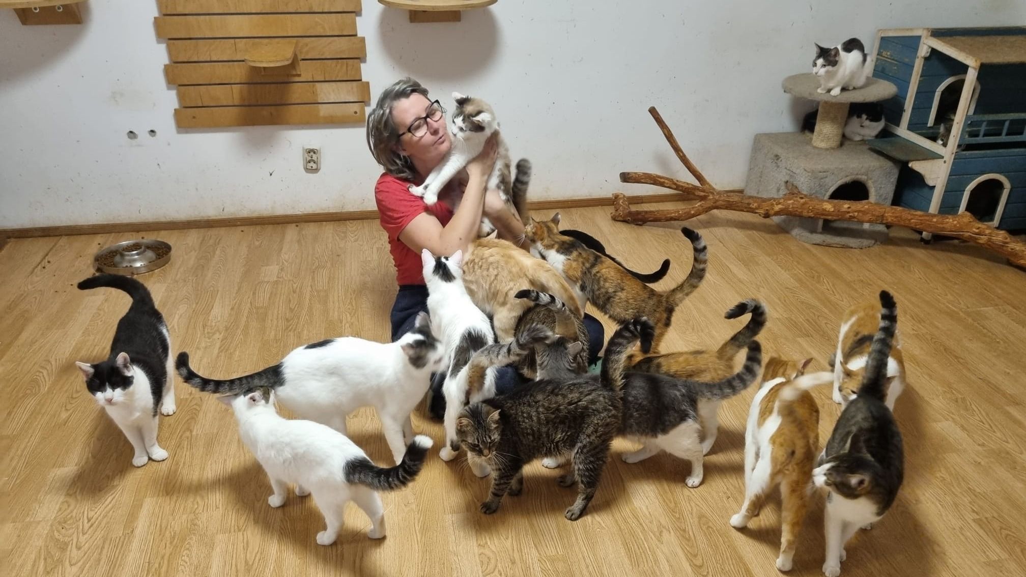 Csődhelyzetben az Îngerii Evei Alapítvány, támogatásra van szükségük