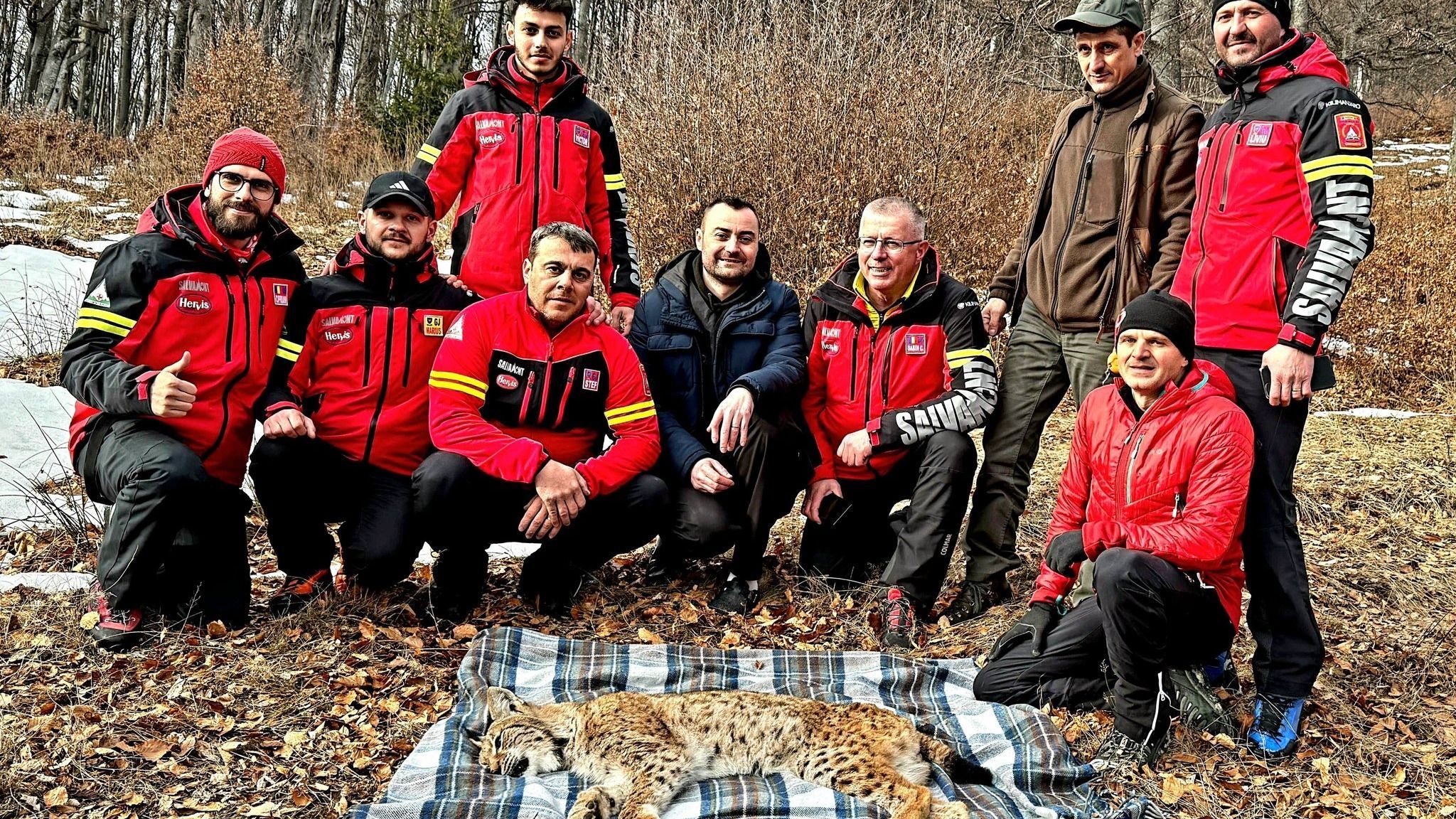 Kútba esett hiúzt mentettek ki a Páring-hegységben – VIDEÓ!